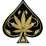 aceultrapremiuum.com